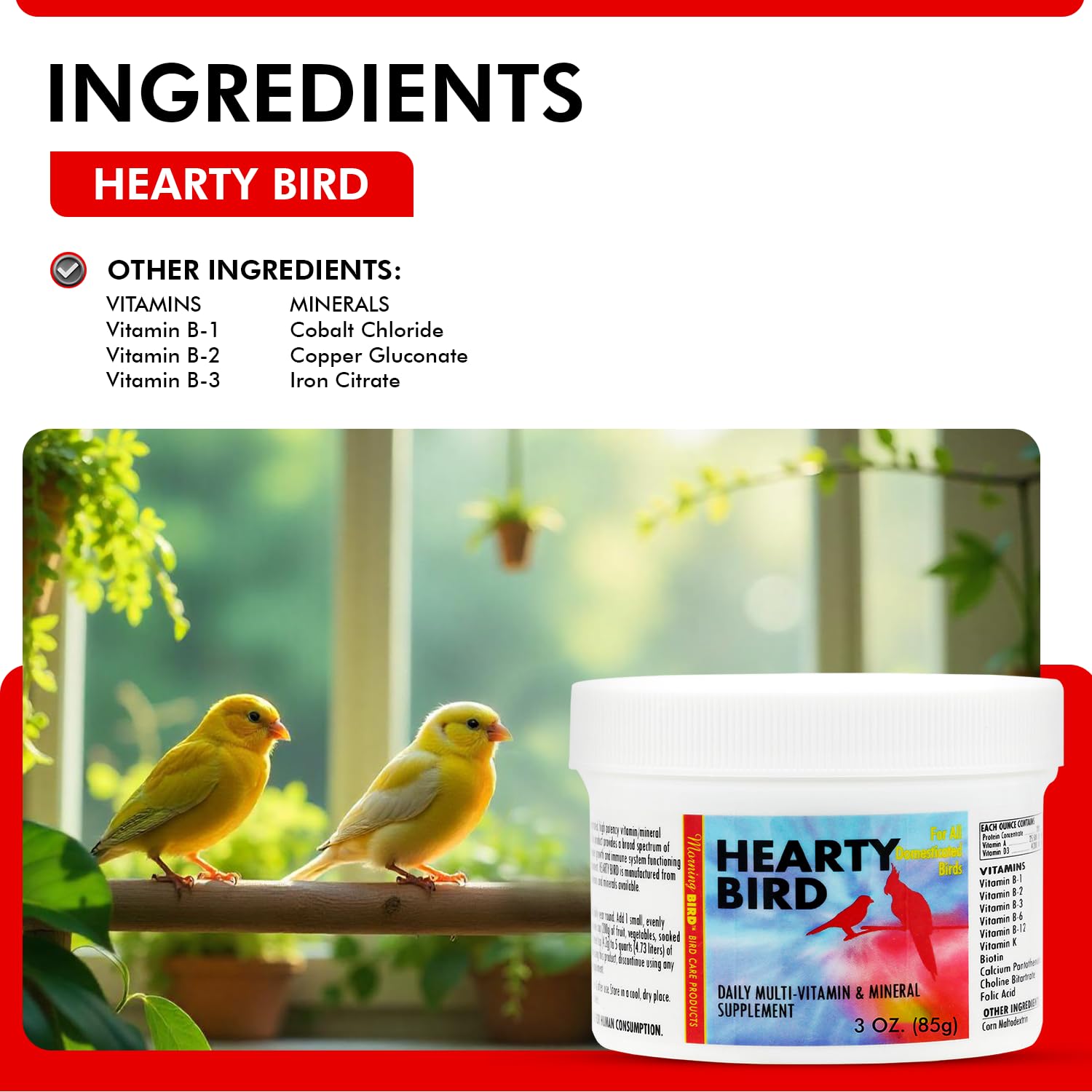 Morning Bird Hearty Bird 3 oz - Daily Multivitamin Powder for Birds - Energy Support with Immune Booster & Wellness - Protein Su